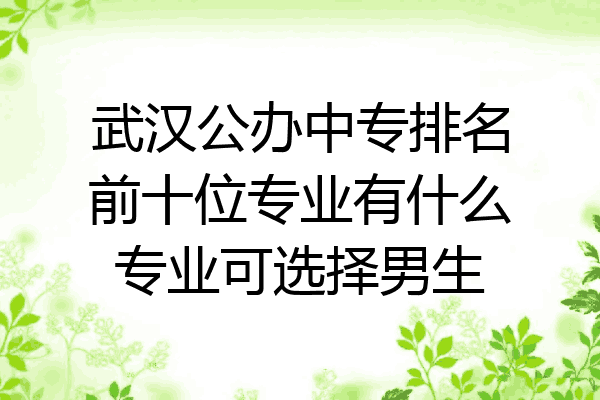 武汉公办中专排名前十位专业有什么专业可选择男生