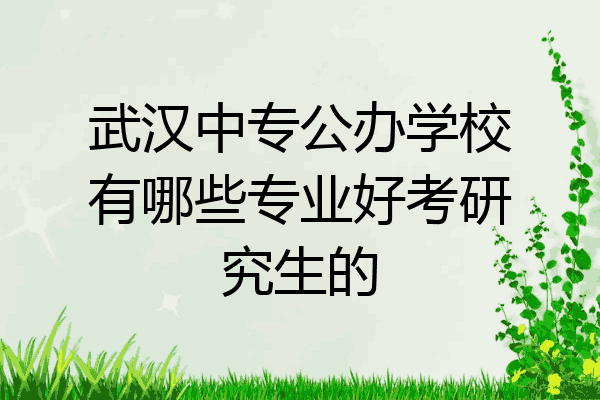 武汉中专公办学校有哪些专业好考研究生的