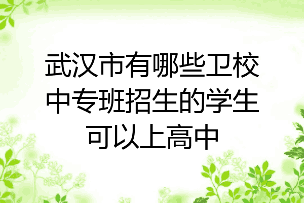 武汉市有哪些卫校中专班招生的学生可以上高中