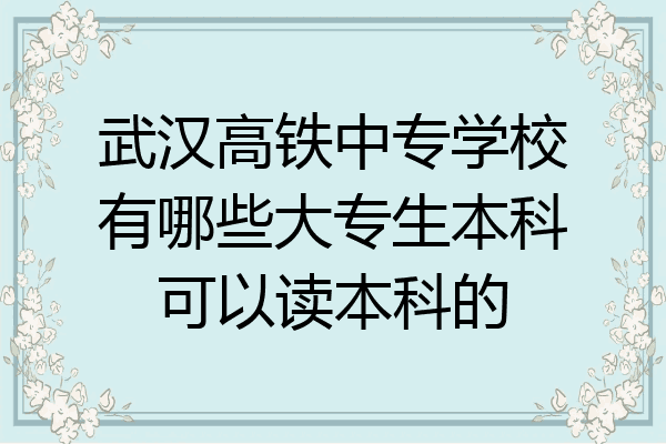 武汉高铁中专学校有哪些大专生本科可以读本科的