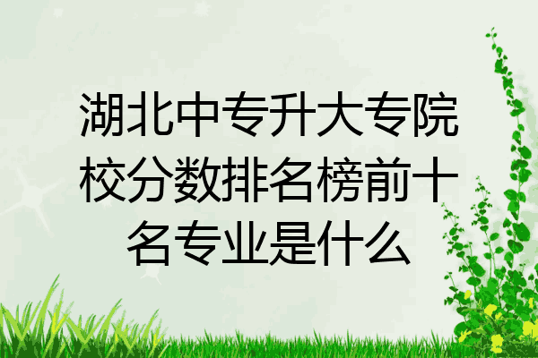 湖北中专升大专院校分数排名榜前十名专业是什么