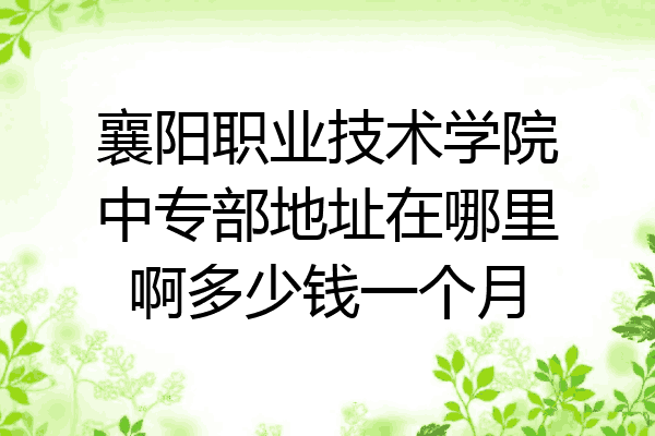 襄阳职业技术学院中专部地址在哪里啊多少钱一个月