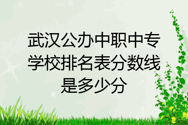 武汉公办中职中专学校排名表分数线是多少分