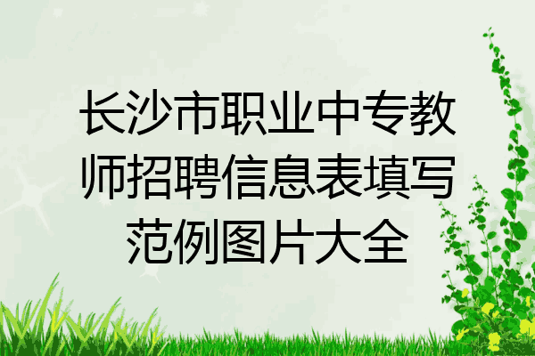 长沙市职业中专教师招聘信息表填写范例图片大全