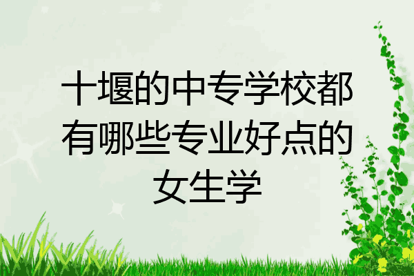 十堰的中专学校都有哪些专业好点的女生学