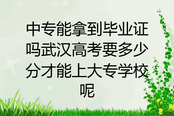 中专能拿到毕业证吗武汉高考要多少分才能上大专学校呢