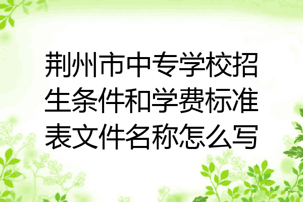 荆州市中专学校招生条件和学费标准表文件名称怎么写