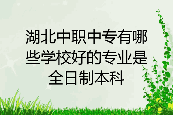 湖北中职中专有哪些学校好的专业是全日制本科