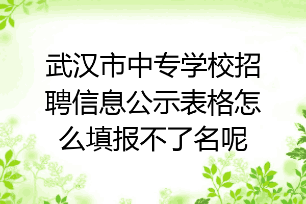 武汉市中专学校招聘信息公示表格怎么填报不了名呢