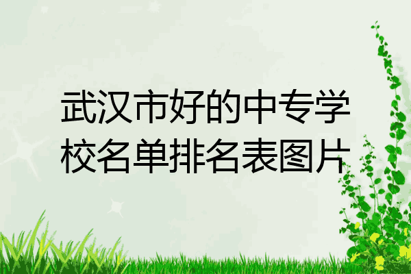 武汉市好的中专学校名单排名表图片