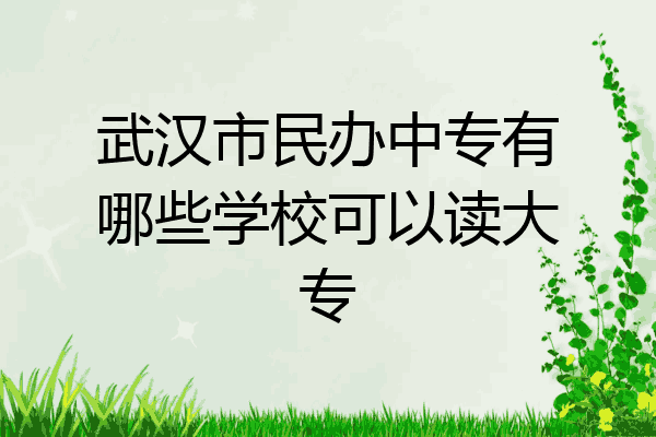 武汉市民办中专有哪些学校可以读大专