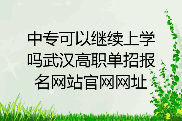 中专可以继续上学吗武汉高职单招报名网站官网网址