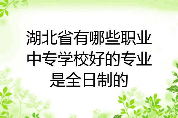 湖北省有哪些职业中专学校好的专业是全日制的