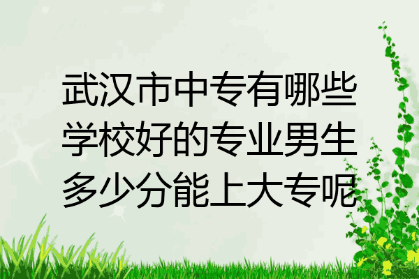 武汉市中专有哪些学校好的专业男生多少分能上大专呢
