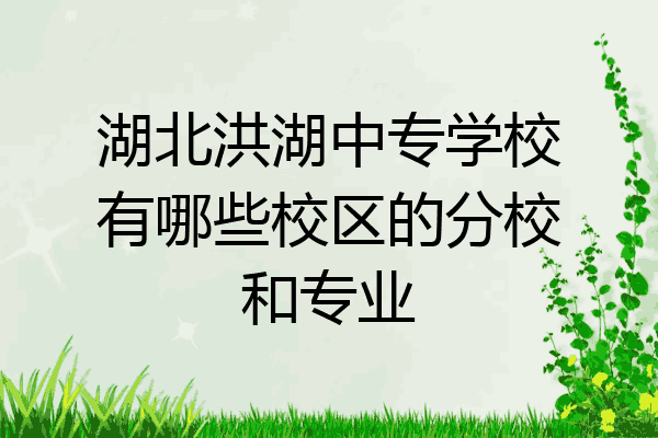 湖北洪湖中专学校有哪些校区的分校和专业