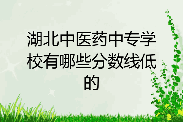 湖北中医药中专学校有哪些分数线低的