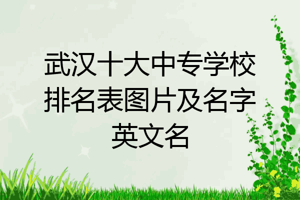 武汉十大中专学校排名表图片及名字英文名