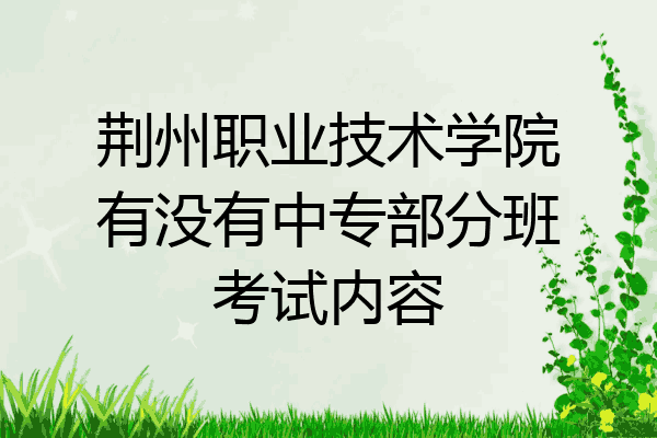荆州职业技术学院有没有中专部分班考试内容