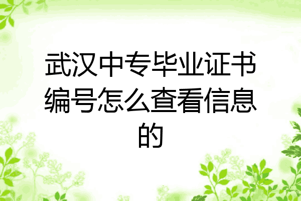 武汉中专毕业证书编号怎么查看信息的