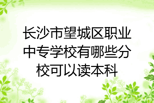 长沙市望城区职业中专学校有哪些分校可以读本科