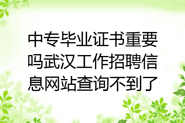中专毕业证书重要吗武汉工作招聘信息网站查询不到了