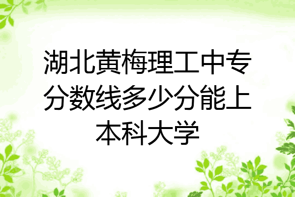 湖北黄梅理工中专分数线多少分能上本科大学