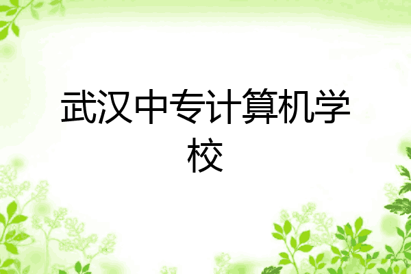 武汉中专计算机学校