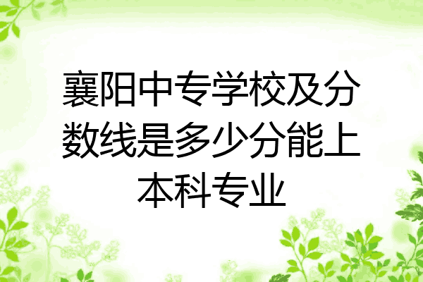襄阳中专学校及分数线是多少分能上本科专业