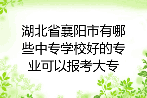 湖北省襄阳市有哪些中专学校好的专业可以报考大专