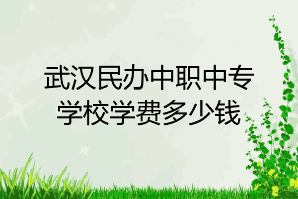 武汉民办中职中专学校学费多少钱