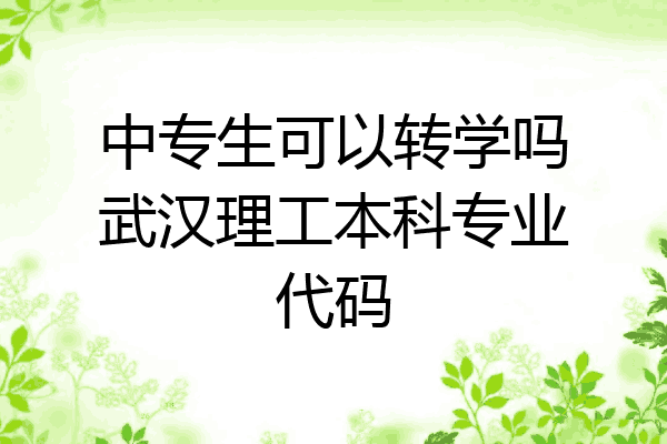 中专生可以转学吗武汉理工本科专业代码