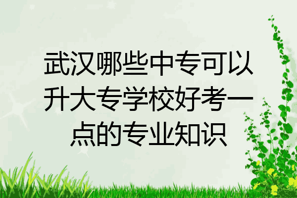 武汉哪些中专可以升大专学校好考一点的专业知识