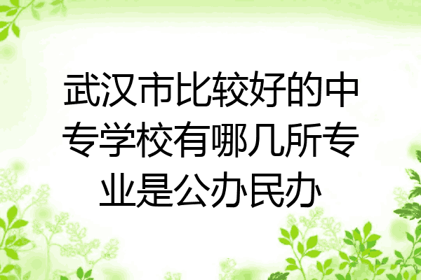 武汉市比较好的中专学校有哪几所专业是公办民办