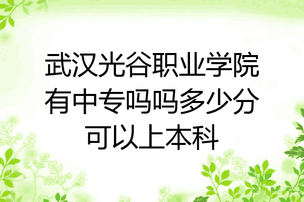 武汉光谷职业学院有中专吗吗多少分可以上本科