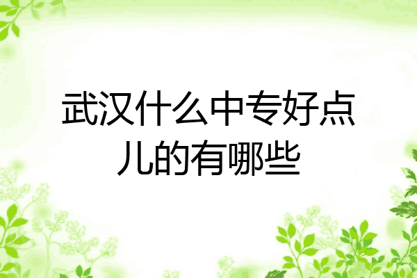 武汉什么中专好点儿的有哪些