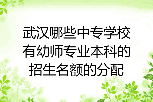 武汉哪些中专学校有幼师专业本科的招生名额的分配