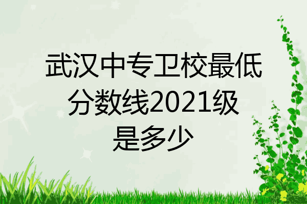 武汉中专卫校最低分数线2021级是多少