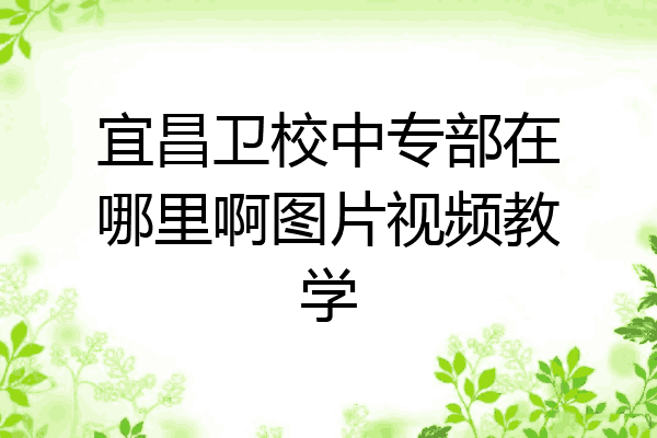 宜昌卫校中专部在哪里啊图片视频教学