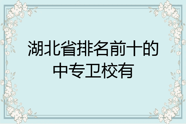 湖北省排名前十的中专卫校有