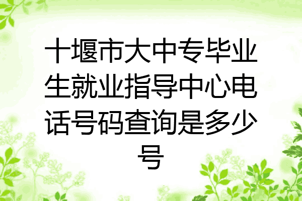 十堰市大中专毕业生就业指导中心电话号码查询是多少号