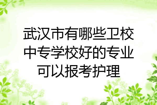 武汉市有哪些卫校中专学校好的专业可以报考护理
