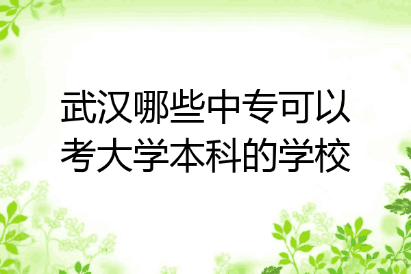 武汉哪些中专可以考大学本科的学校