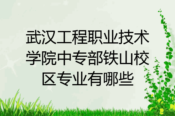 武汉工程职业技术学院中专部铁山校区专业有哪些