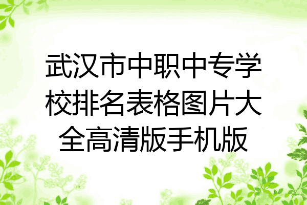 武汉市中职中专学校排名表格图片大全高清版手机版
