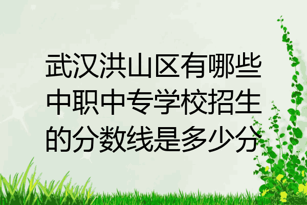 武汉洪山区有哪些中职中专学校招生的分数线是多少分