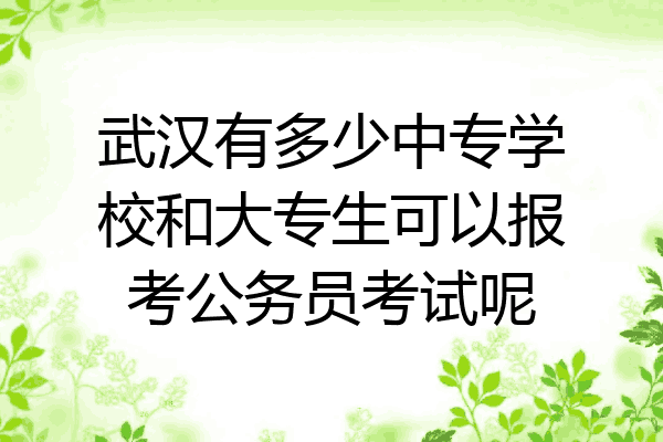 武汉有多少中专学校和大专生可以报考公务员考试呢