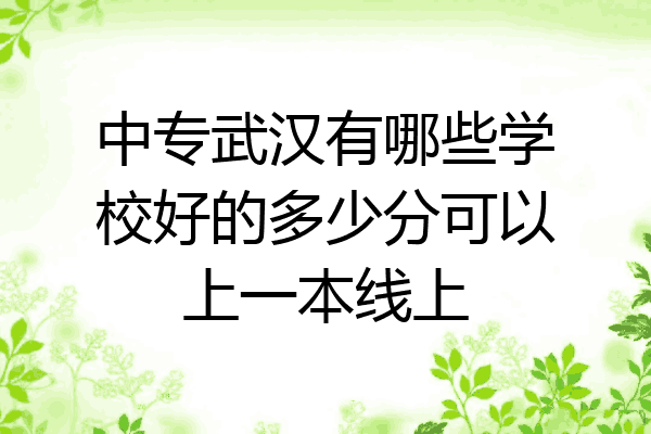 中专武汉有哪些学校好的多少分可以上一本线上