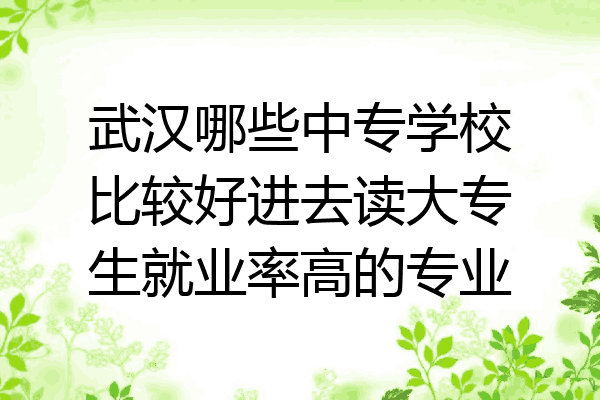 武汉哪些中专学校比较好进去读大专生就业率高的专业