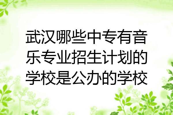 武汉哪些中专有音乐专业招生计划的学校是公办的学校
