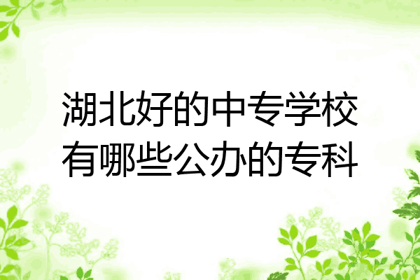 湖北好的中专学校有哪些公办的专科